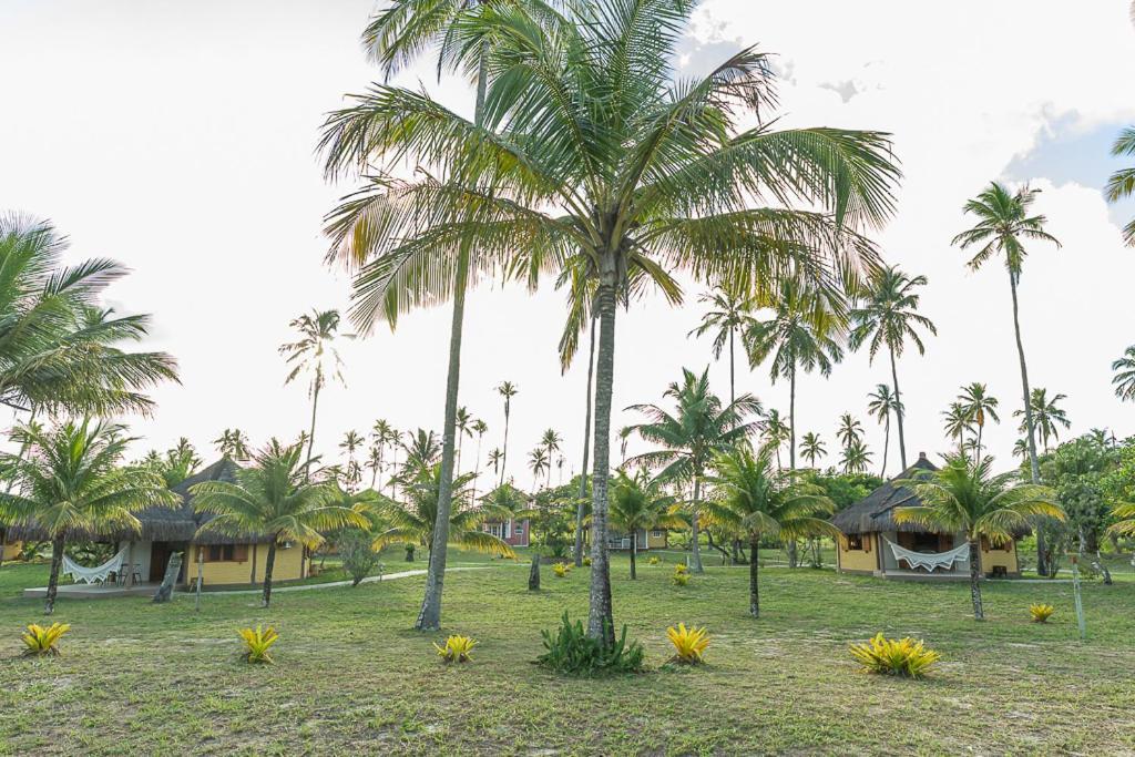 Jocotoka Village - Ponta Do Corumbau Esterno foto